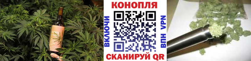Купить закладки  Торжок  Cannafood конопля 