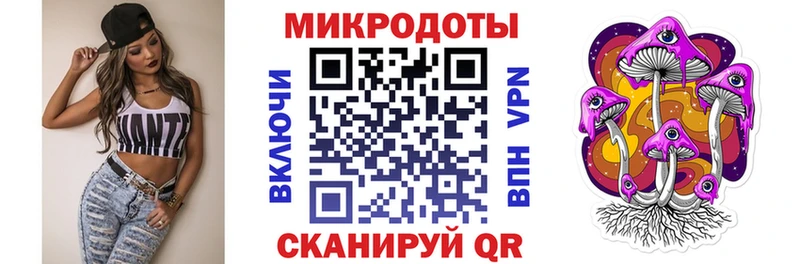 Псилоцибиновые грибы Psilocybe  Купить  Торжок 
